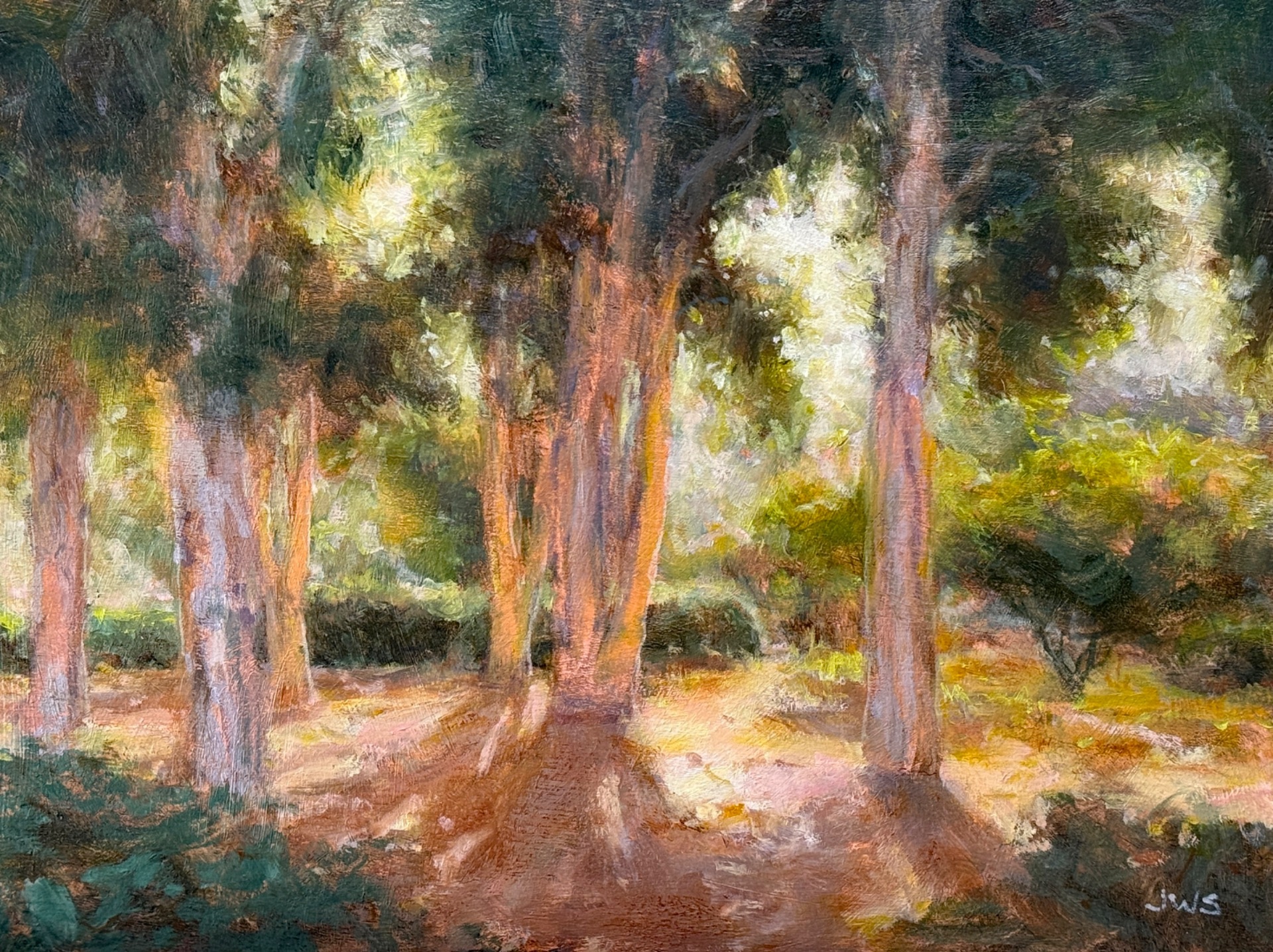 Long Shadows